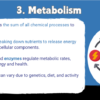 Chemical Processes: Practical Applications & Implications (1) - Image 4